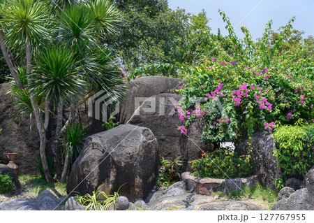 Thickets of tropical palm trees and flowers among the stones in Vietnam Thickets of tropical palm trees and flowers among the stones in Vietnam 127767955