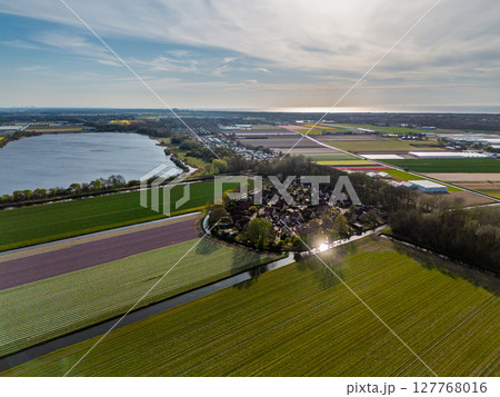 Aerial view of vibrant tulip fields in full bloom stretching along a calm canal, with farmland and green pastures under a soft morning sky in the Dutch countryside. Beautiful lake. 127768016