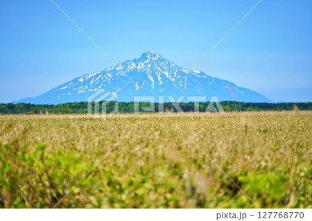 サロベツ原野の風景 サロベツ原野の風景 127768770