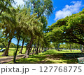 『ハワイ』新緑に包まれるカピオラニ公園 127768775
