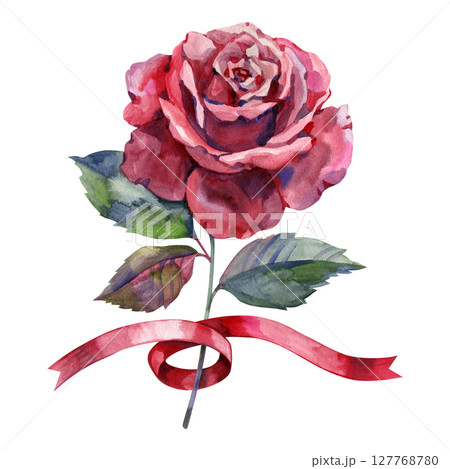 Watercolor red rose illustration. Hand draw roses flowers. Vintage style hand drawn art. 127768780