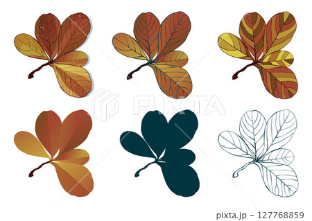 Hand-drawn autumn colored fall leaves isolated on white background. Flat line style vector illustration. 127768859