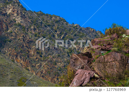 Majestic Kyrgyzstan mountains with rugged rocks and lush vegetation 127768969