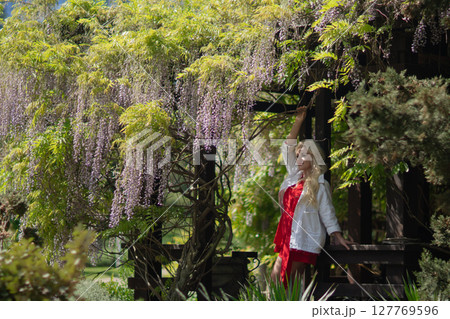 Wisteria Woman Flowers: Blonde woman touches wisteria blooms in lush spring garden, admires nature's beauty. 127769596