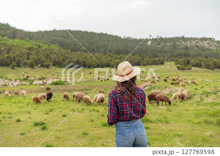 A woman wearing a straw hat stands in a field of sheep 127769598