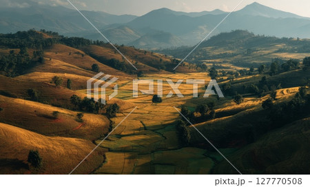 Lush rolling hills under golden sunlight in serene valley. Neural network AI generated 127770508