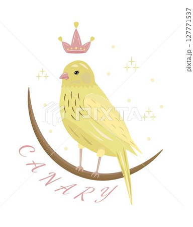 Yellow bird canary, colorful illustration. This bird is associated with wealth and homeliness Yellow bird canary, colorful illustration. This bird is associated with wealth and homeliness 127771537