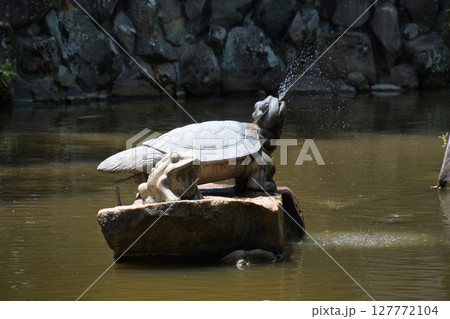 亀の形の噴水　　淡路島　兵庫県 127772104