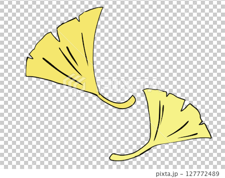 Ginkgo biloba Ginkgo biloba 127772489