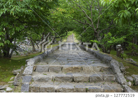 世界遺産の今帰仁城 127772519