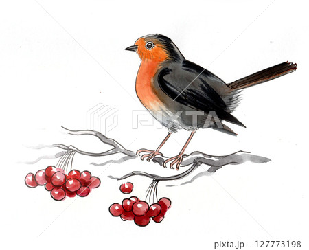 Bird on a tree branch with red berries. Hand drawn watercolour illustration Bird on a tree branch with red berries. Hand drawn watercolour illustration 127773198