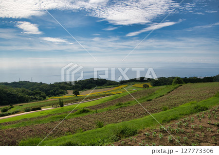 広々とした丘 花座敷 淡路島 広々とした丘 花座敷 淡路島 127773306