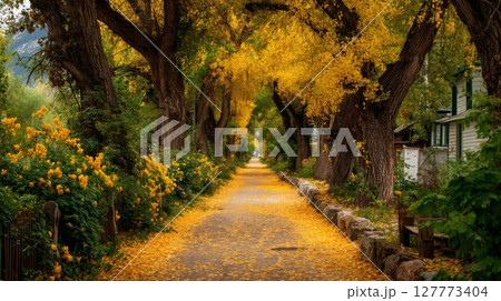 Autumnal Pathway Lined with Golden Trees 127773404