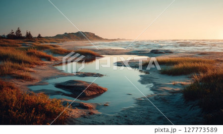 Serene Sunset Beach Landscape with Calm Ocean and Golden Light 127773589