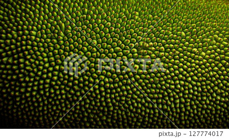 Closeup of Green Fruit Texture with Small Spikes 127774017