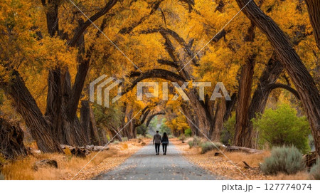 Couple Walking Down Autumn Road Under Golden Canopy 127774074