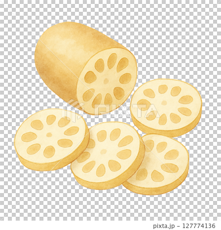 Lotus root sliced material Lotus root sliced material 127774136