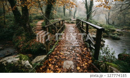 Autumnal Forest Path: Wooden Bridge Over Stream 127774185