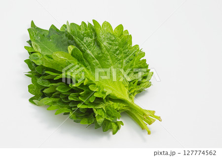 新鮮な大葉の葉 127774562