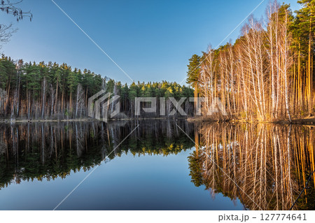 Calm lake with green trees on the shore and a beautiful reflection. Summer landscape. Calm lake with green trees on the shore and a beautiful reflection. Summer landscape. 127774641