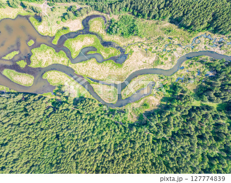 Aerial view of lake or river green shore with forest. Summer season. Aerial view of lake or river green shore with forest. Summer season. 127774839
