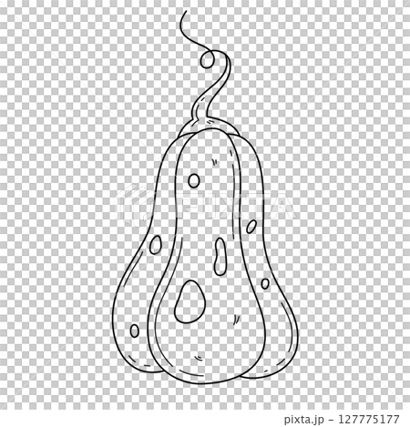 Hand drawn outline pumpkin Hand drawn outline pumpkin 127775177