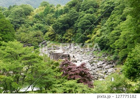 【上松町 中央アルプス国定公園 国の名勝 臨川寺より望む「寝覚の床」】 【上松町 中央アルプス国定公園 国の名勝 臨川寺より望む「寝覚の床」】 127775182