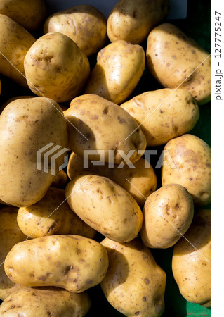 Raw potatoes displayed at an outdoor farm market Raw potatoes displayed at an outdoor farm market 127775247