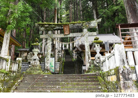 【王滝村「御嶽神社」王滝里宮の二ノ鳥居と参道階段】 【王滝村「御嶽神社」王滝里宮の二ノ鳥居と参道階段】 127775483