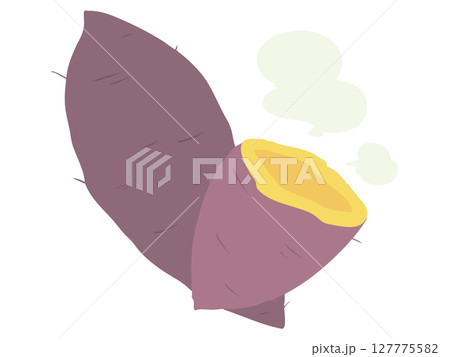 サツマイモ 主線なし 127775582