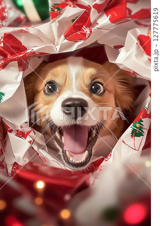 クリスマスのプレゼント袋から顔を出すサプライズ犬 127775619