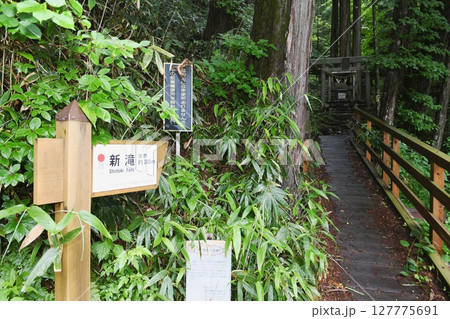 【王滝村 御嶽山登拝者の水行場「新滝」行場入口看板】 【王滝村 御嶽山登拝者の水行場「新滝」行場入口看板】 127775691
