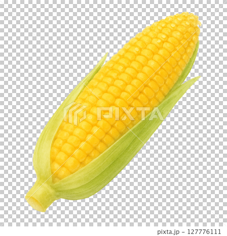 水彩風格玉米插圖 127776111