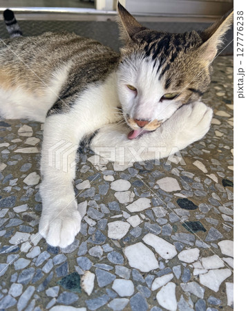 舌 タン ベロ 127776238