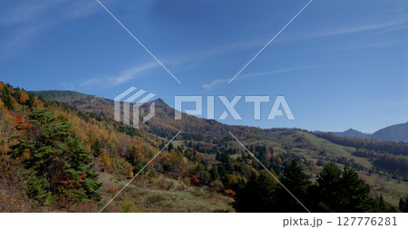 Shigakogen in autumn / 広大な牧場の秋の紅葉風景(志賀高原，南志賀，山田牧場) 127776281
