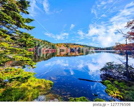 秋の白駒池 127776506