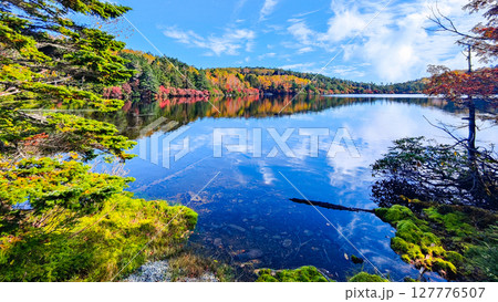 秋の白駒池 秋の白駒池 127776507