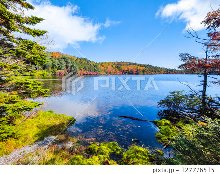 秋の白駒池 127776515