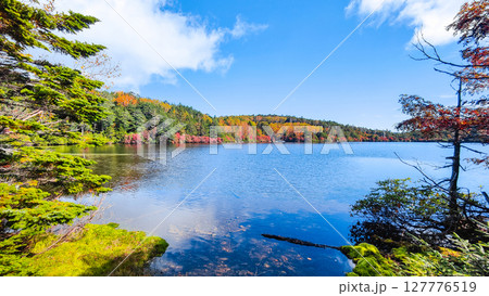 秋の白駒池 127776519