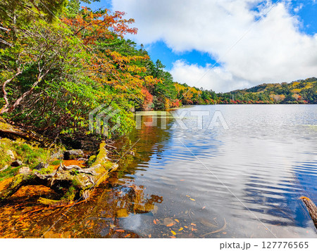 秋の白駒池 127776565