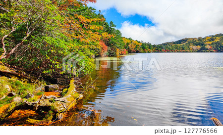 秋の白駒池 127776566