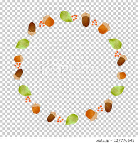 ドングリ　どんぐり　水彩　イラスト 127776645
