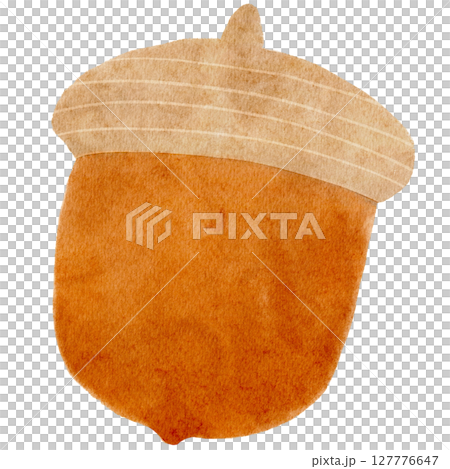 ドングリ どんぐり 水彩 イラスト ドングリ どんぐり 水彩 イラスト 127776647