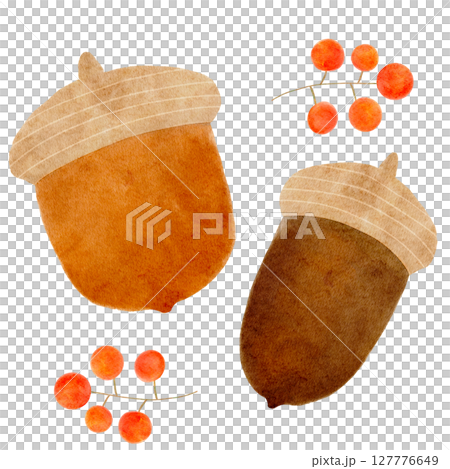Acorns watercolor illustration Acorns watercolor illustration 127776649