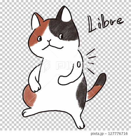 Calico cat measuring blood sugar level with Libre 127776716