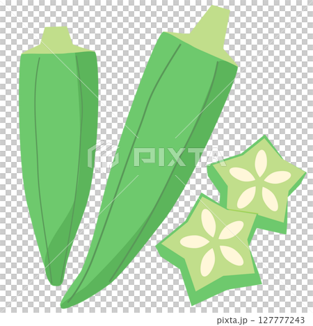 Okra summer vegetable sliced vector illustration 127777243