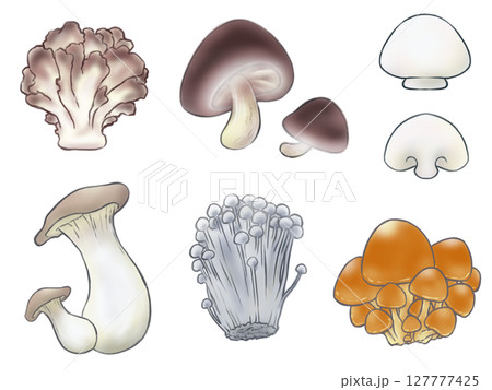 きのこ イラスト きのこ イラスト 127777425