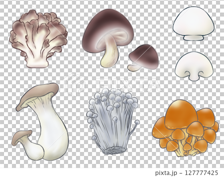 きのこ イラスト きのこ イラスト 127777425