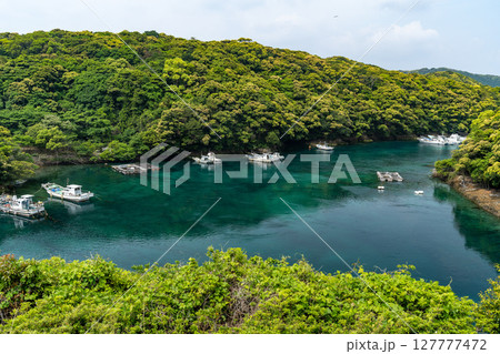 五島列島の初夏 長崎 五島列島の初夏 長崎 127777472