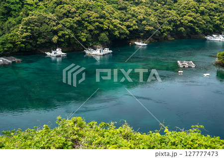 五島列島の初夏　長崎 127777473